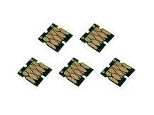 Puces à utilisation unique (kit de 5) pour EPSON 410, 410XL (VERSION AMÉRIQUE DU NORD)